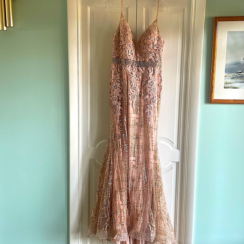 Elegant Evening/Prom Dress